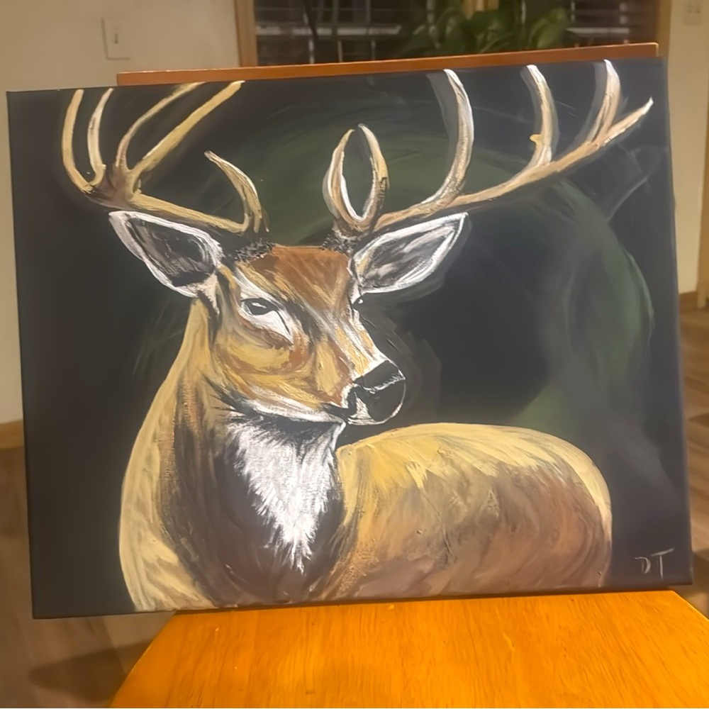 20x16 stretched canvas solo buck deer